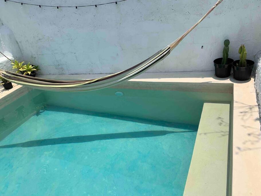 Casita Azul Colonial En El Centro De Merida. Eksteriør billede