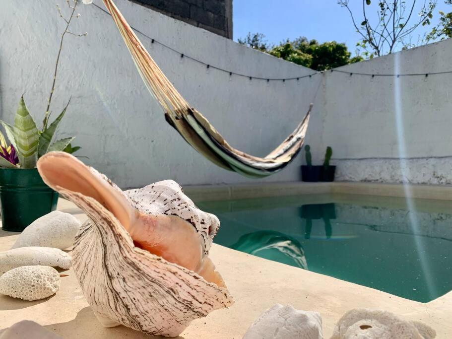 Casita Azul Colonial En El Centro De Merida. Eksteriør billede