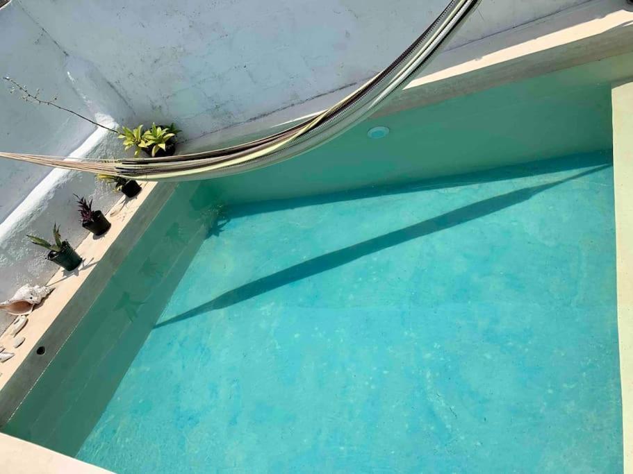 Casita Azul Colonial En El Centro De Merida. Eksteriør billede