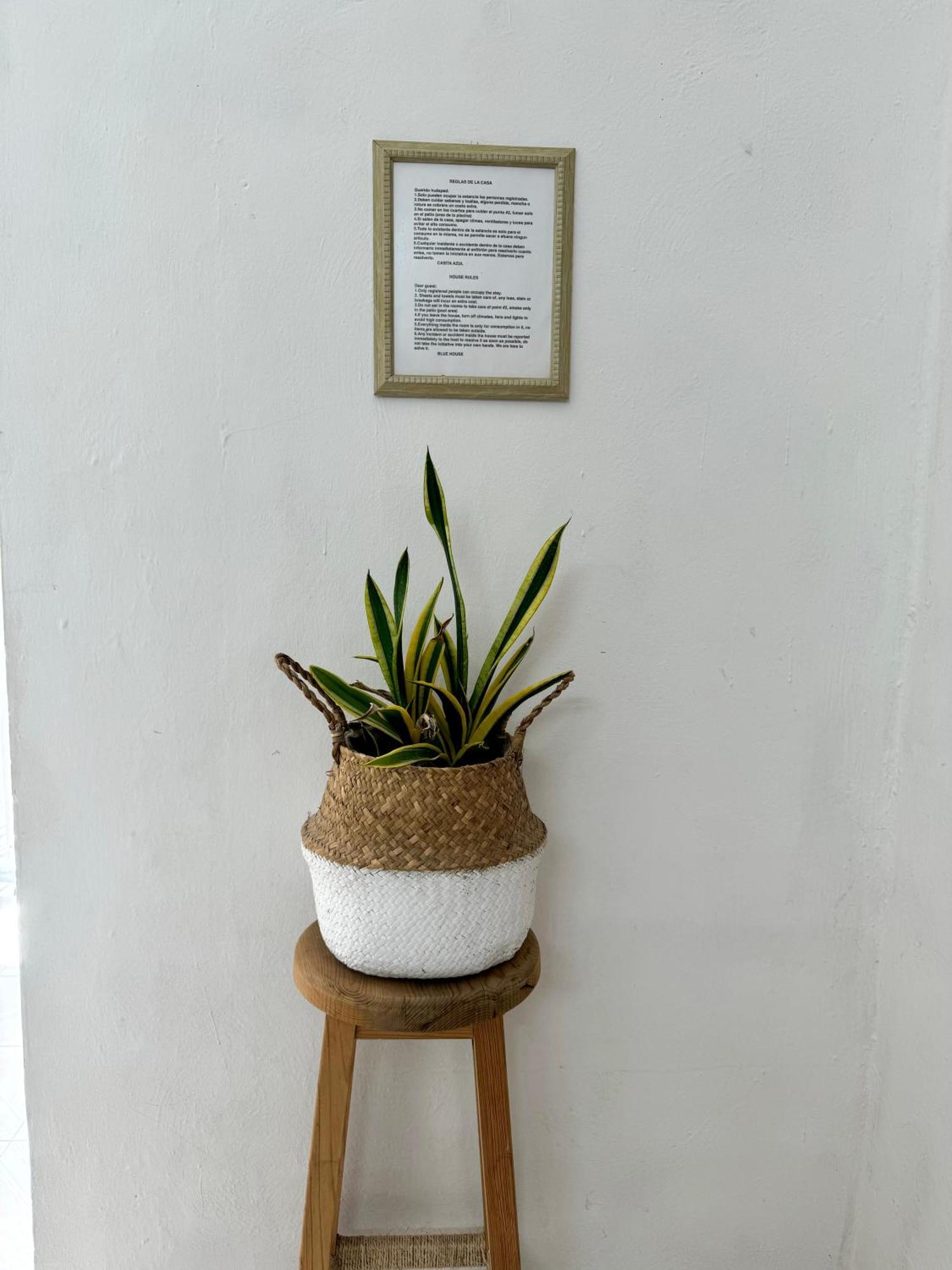 Casita Azul Colonial En El Centro De Merida. Eksteriør billede